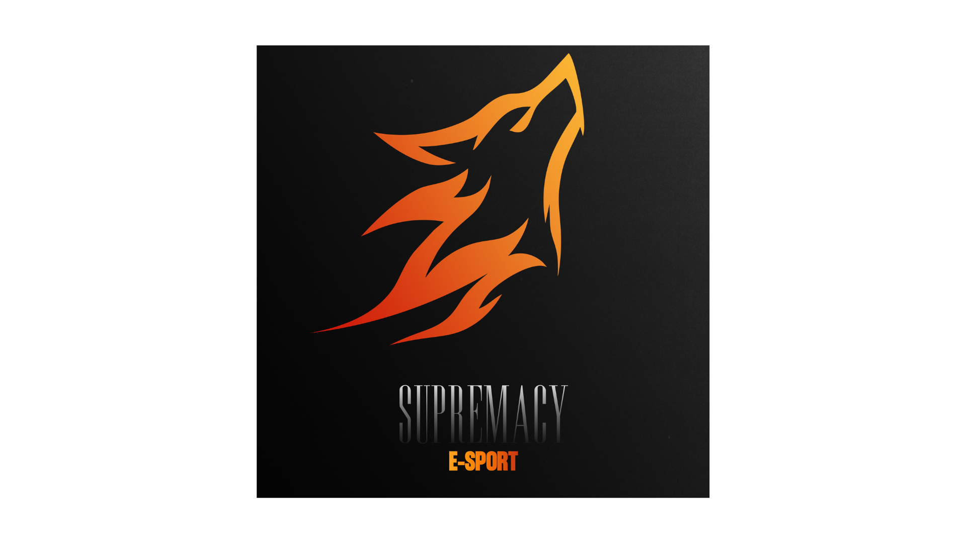 Logo SCY claw
